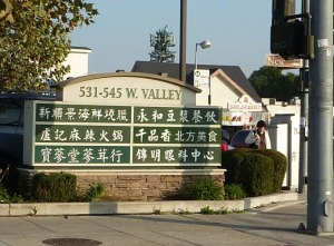 Located at the corner of New Ave and Valley Blvd, San Gabriel, CA USA, this sign in all Chinese reflects the state of the cities in Los Angeles suburbs: They're being invaded by the obnoxious Chinese.